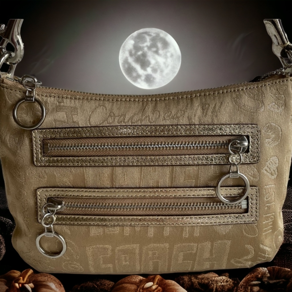 🎃 Coach Poppy Handbag